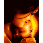 Картина за номерами art120