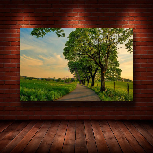 Картина на холсте "Природа" (N1098)