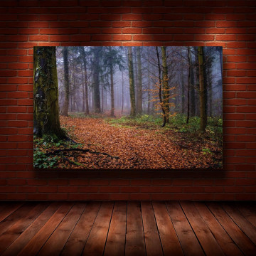 Картина на холсте "Природа" (N1150)
