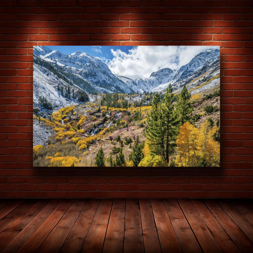 Картина на холсте "Природа" (N1151)