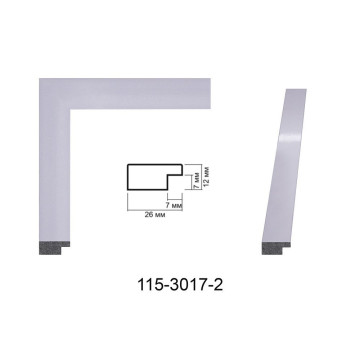 Пластиковый багет для рам 115-3017-2