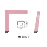 Пластиковый багет для рам 115-3017-5