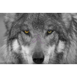 Картина на холсте "Волк" (T163)