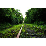 Картина на полотні "Природа" (N176)