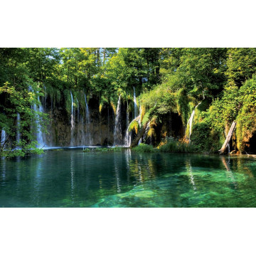 Картина на полотні "Водоспад" (N225)