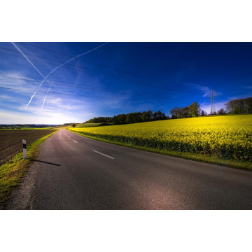 Картина на полотні "Дорога" (N357)