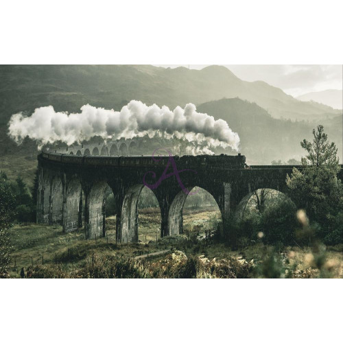 Картина на полотні "Потяг" (N481)