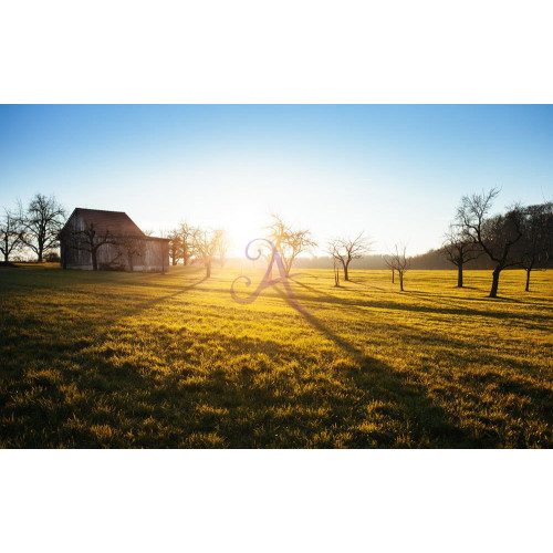 Картина на полотні "Природа" (N600)