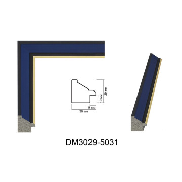 Пластиковий багет для рам DM3029-5031