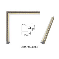 Пластиковий багет для рам DM1715-469-3