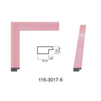 Пластиковий багет для рам 115-3017-5