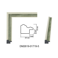 Пластиковий багет для рам DM2619-01719-5