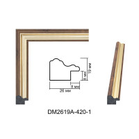 Пластиковий багет для рам DM2619A-420-1