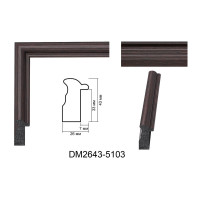 Пластиковий багет для рам DM2643-5103