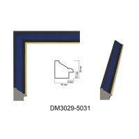 Пластиковий багет для рам DM3029-5031