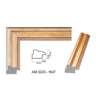 Пластиковий багет для рам AM3220-1647