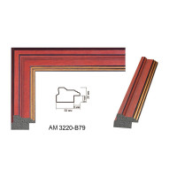 Пластиковий багет для рам AM3220-B79