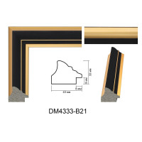 Пластиковий багет для рам DM4333-B21