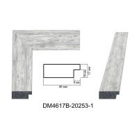 Пластиковий багет для рам DM4617B-20253-1