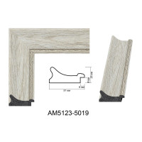 Пластиковий багет для рам AM5123-5019