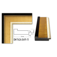 Пластиковий багет для рам DM7424-0491-11