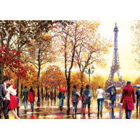 Картина за номерами 21174, 50см×40см