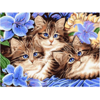 Картина за номерами 3071, 50см×40см