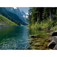 Картина на полотні "Природа" (N156), 55см×35см