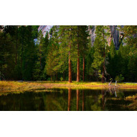 Картина на полотні «Лісове озеро» (N192), 55см×35см