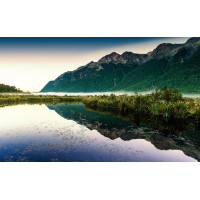 Картина на полотні "Природа" (N238), 55см×35см