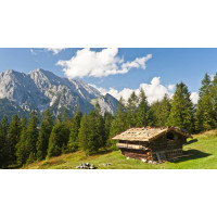 Картина на полотні "Природа" (N287), 55см×35см