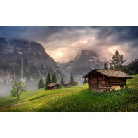 Картина на полотні "Природа" (N288), 55см×35см