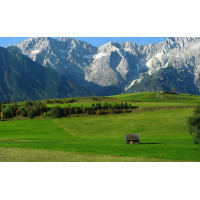 Картина на полотні "Природа" (N296), 55см×35см