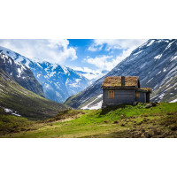Картина на полотні "Природа" (N316), 55см×35см