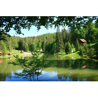 Картина на полотні "Природа" (N348), 55см×35см
