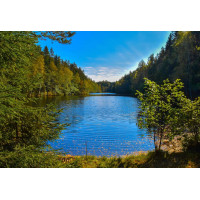 Картина на полотні "Природа" (N377), 55см×35см