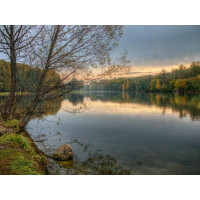 Картина на полотні "Природа" (N378), 55см×35см