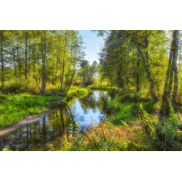 Картина на полотні "Природа" (N383), 55см×35см