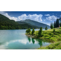 Картина на полотні "Природа" (N449), 55см×35см