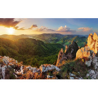 Картина на полотні "Природа" (N464), 55см×35см