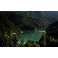 Картина на полотні "Озеро" (N498), 55см×35см