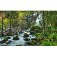Картина на полотні "Водоспад" (N520), 55см×35см