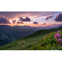 Картина на полотні "Природа" (N542), 55см×35см