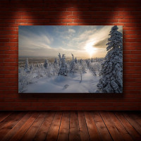 Картина на полотні "Природа" (N1071), 55см×35см