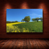 Картина на полотні "Природа" (N1276), 55см×35см