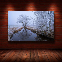 Картина на полотні "Природа" (N609), 55см×35см