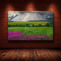 Картина на полотні "Природа" (N944), 55см×35см