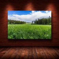 Картина на полотні "Природа" (N952), 55см×35см