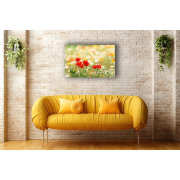 Картина на полотні «Червоні маки на світлі» | K135