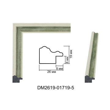 Пластиковий багет для рам DM2619-01719-5